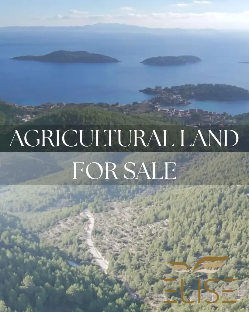 LANDWIRTSCHAFTLICHES GRUNDSTÜCK, BLATO (ANČINOVO) - 8,094 m² - 80.000€