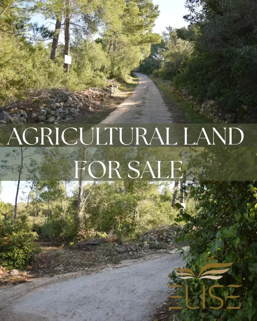 AGRICULTURAL LAND – 5 MINUTES FROM VELA LUKA – 5,801 m²,  10€/ m²