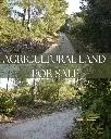 AGRICULTURAL LAND – 5 MINUTES FROM VELA LUKA