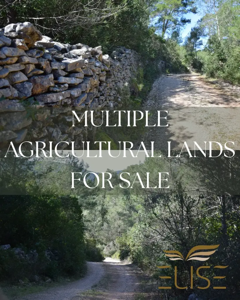 MULTIPLE AGRICULTURAL LANDS