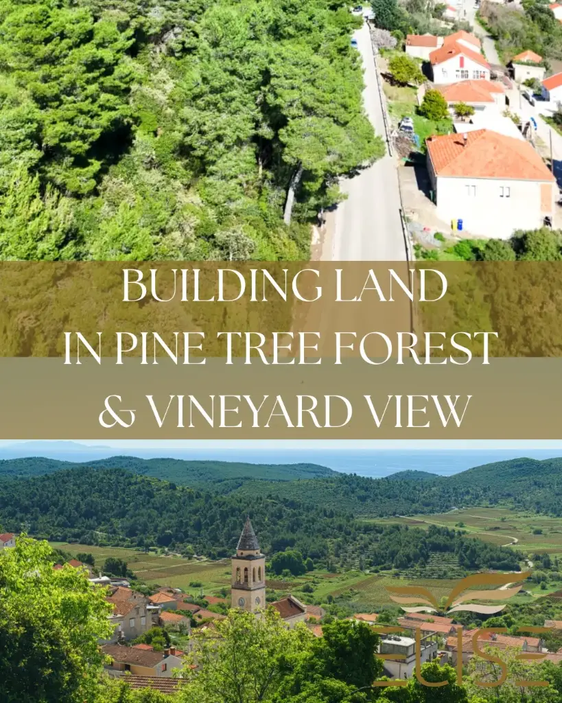 GRAĐEVINSKO ZEMLJIŠTE U SMOKVICI – OKRUŽENO ŠUMOM I S POGLEDOM NA VINOGRADE,  €65000