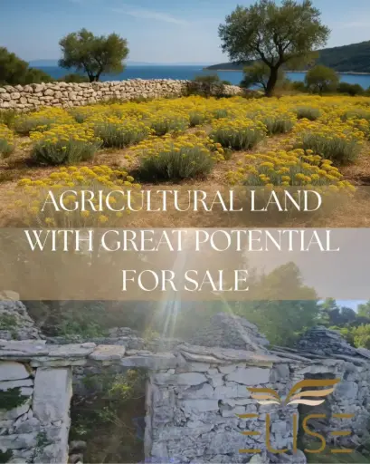 AGRICULTURAL LAND 21.000m²- 85.185€ - 4€/m²